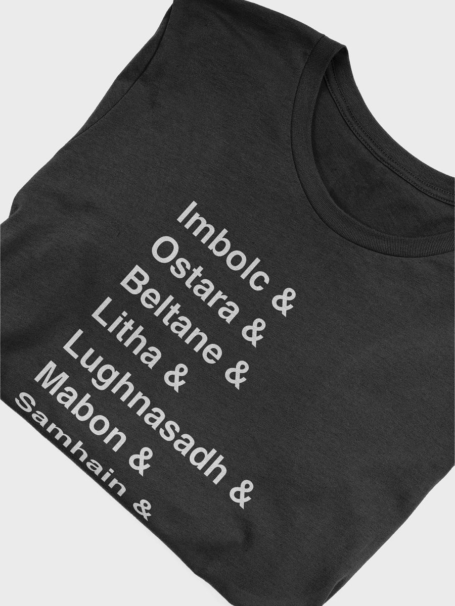 PAGAN HOLIDAY TEE product image (4)