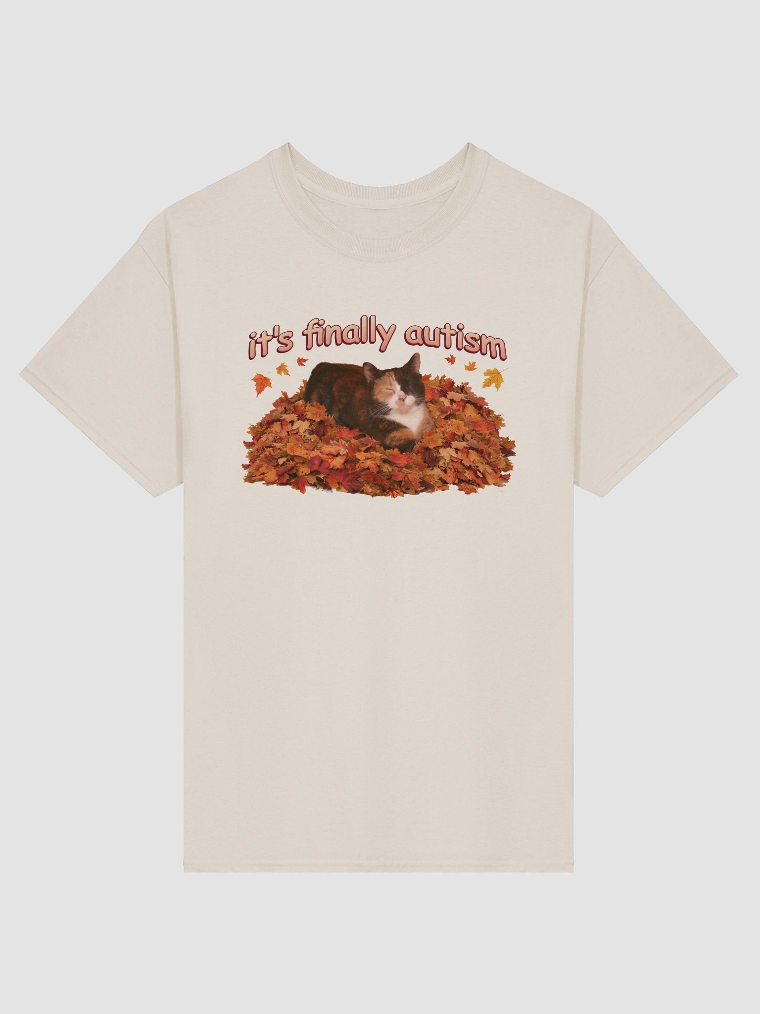 It's Finally Autism Autumn Cat T-shirt product image (2)