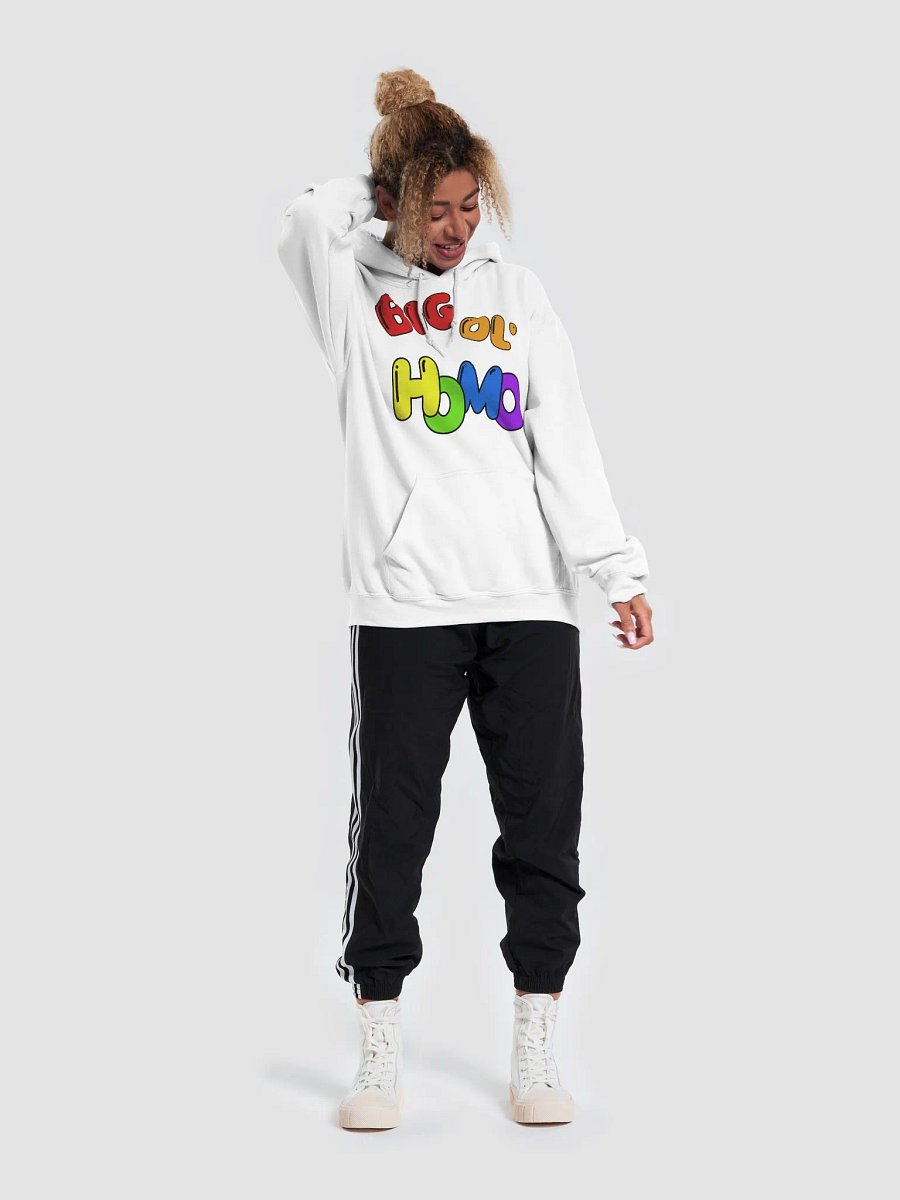 Big Ol' HOMO! Pullover product image (25)
