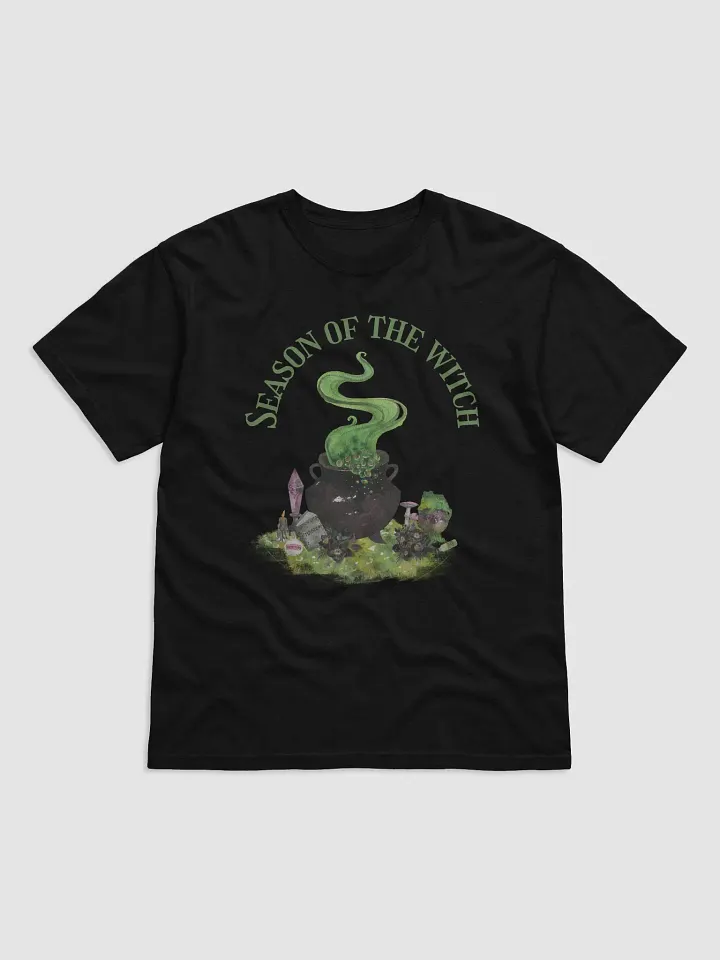 Season of the Witch Adult T-Shirt product image (1)