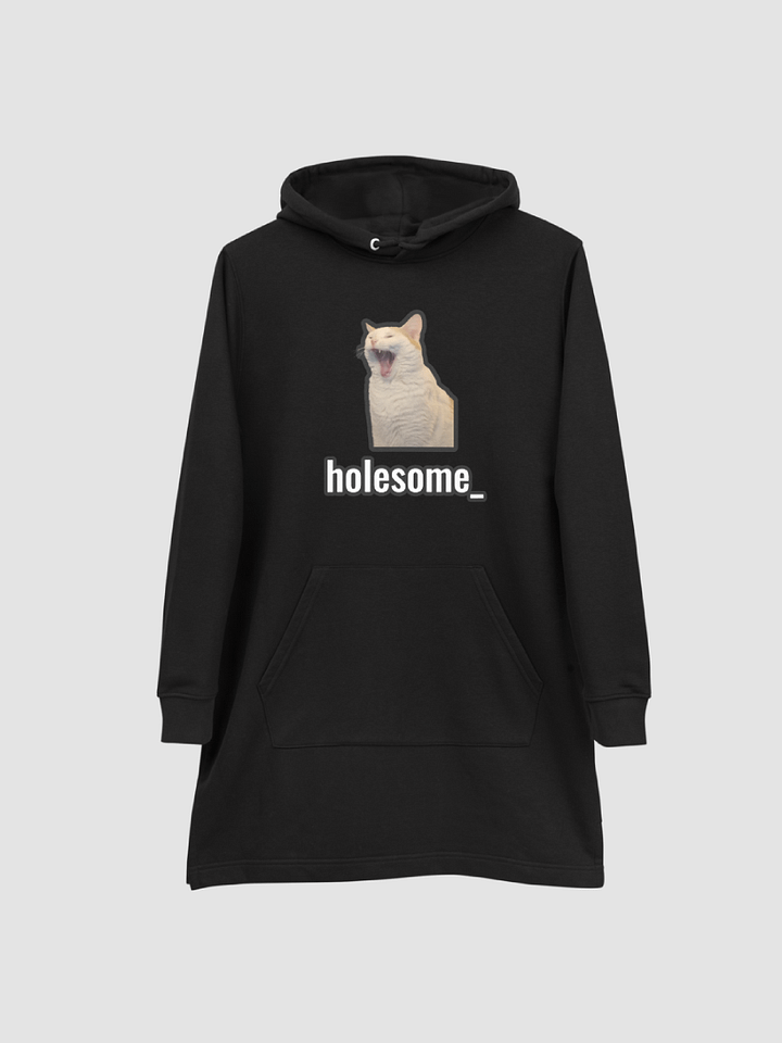 holesome Nico Hoodie Dress product image (2)