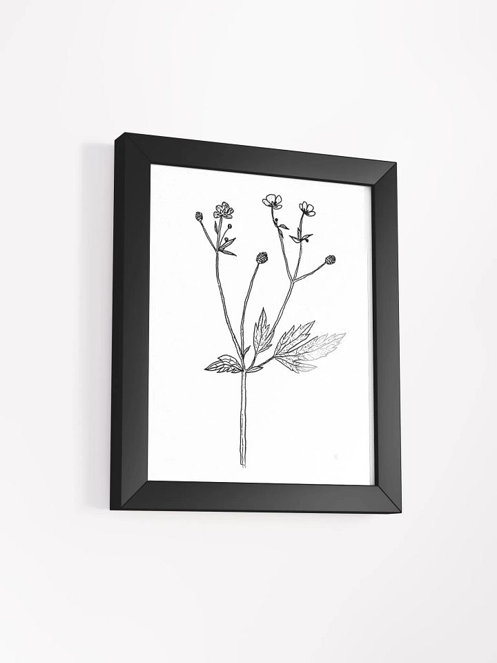 Botanical Bliss Framed Matte Poster - Wild Flowers product image (6)