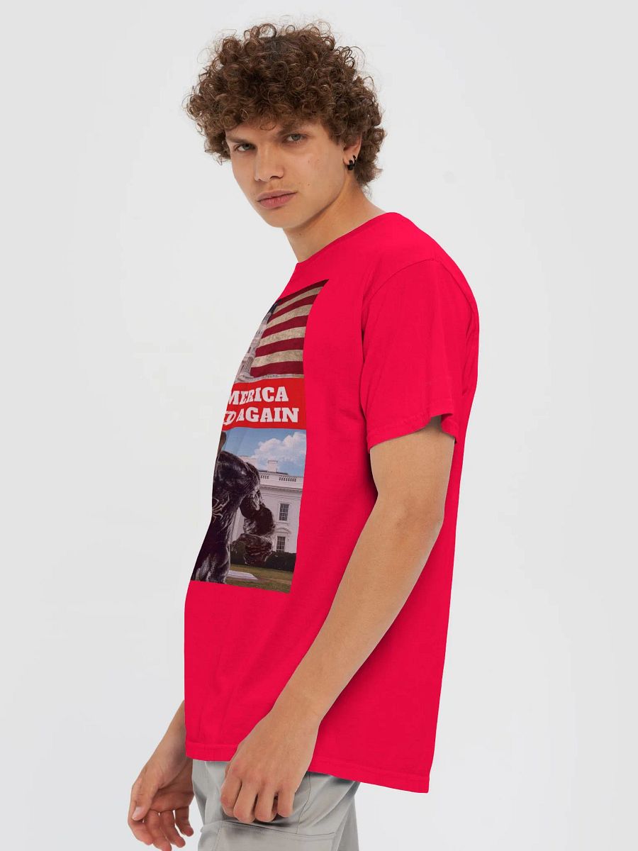 MAVA U.S. Capitol Tee product image (8)