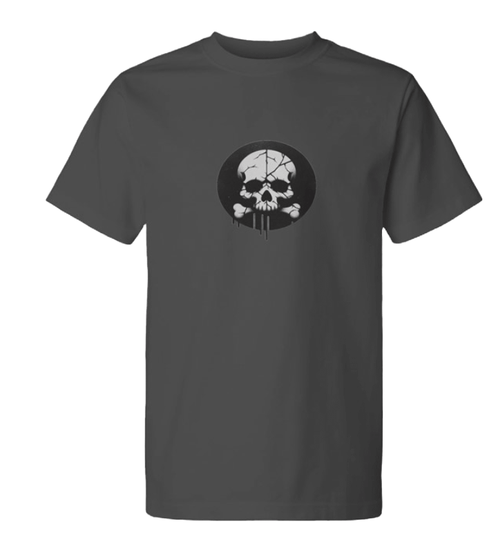 GRAY CRACKED SKULL TEE product image (1)