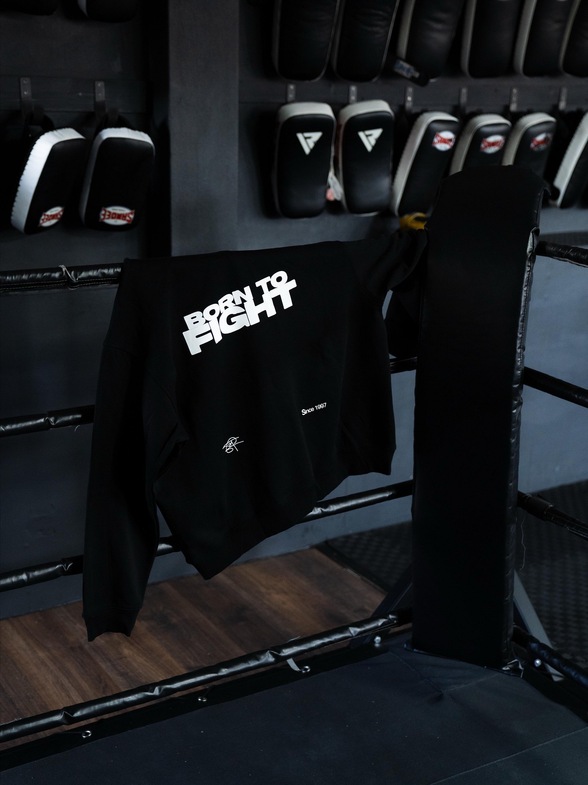 Born to Fight Hoodie product image (6)