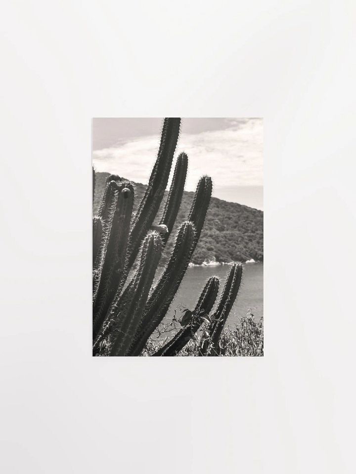 Mexico Lindo - Enhanced Matte Paper Poster product image (1)