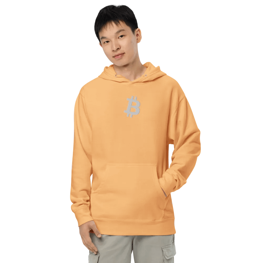 Embroidered ₿itcoin Orange-Peach Hoody product image (12)