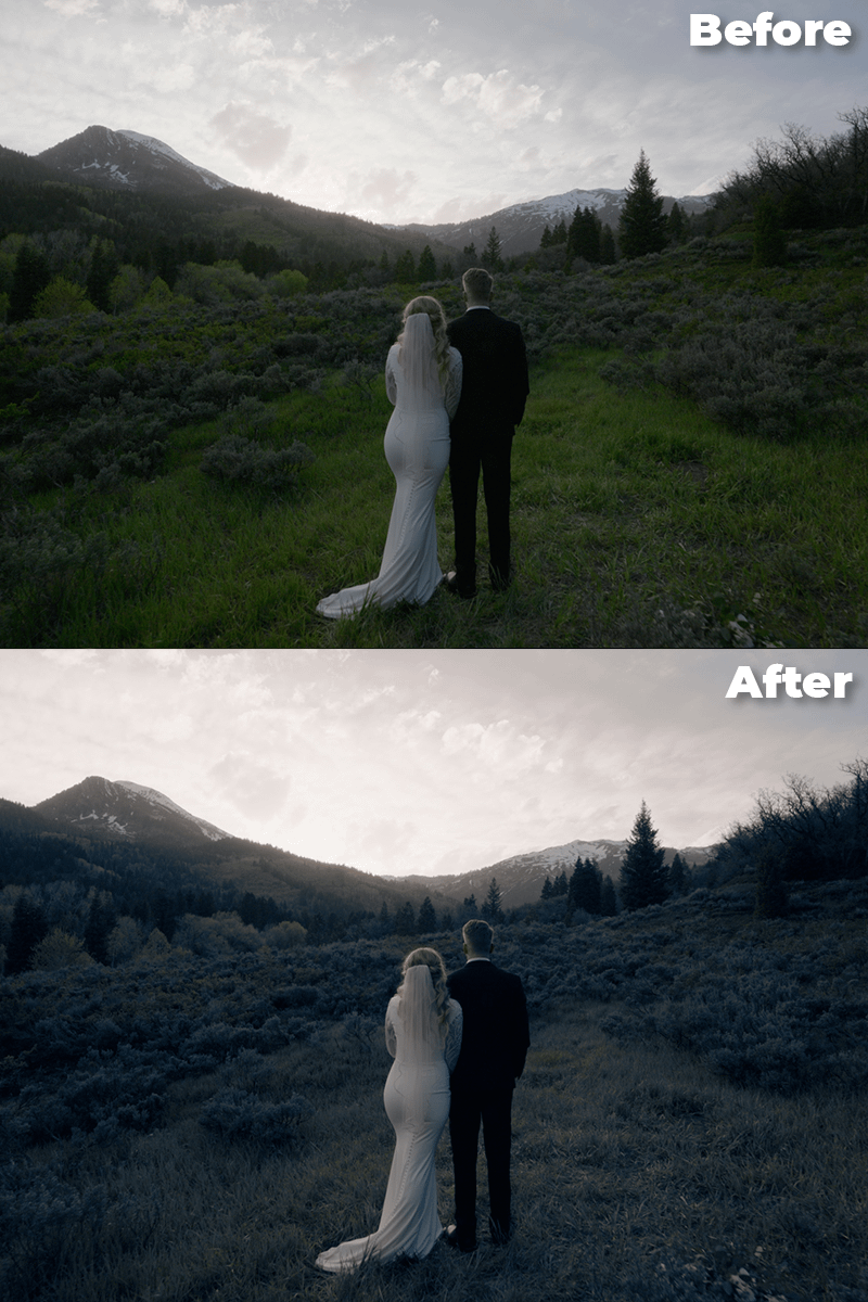 Tonal Grade LUTs product image (6)
