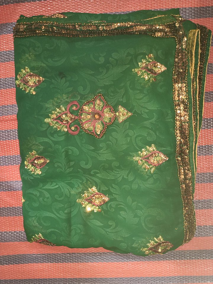 Green Saree product image (2)