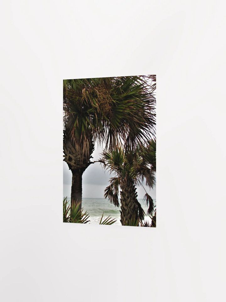 Ormond Beach 3 product image (16)