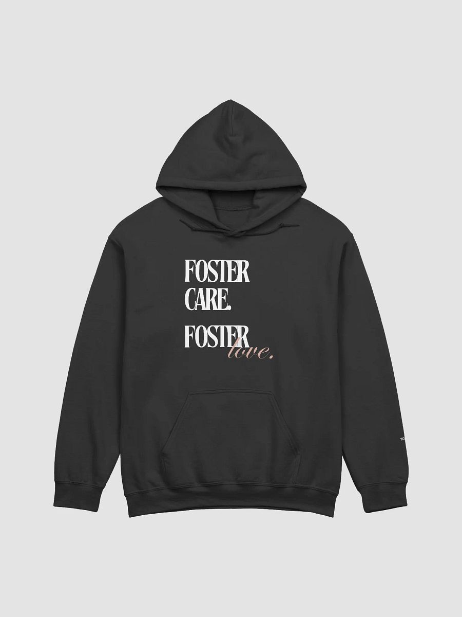 Foster Care. Foster Love. Hoodie product image (1)