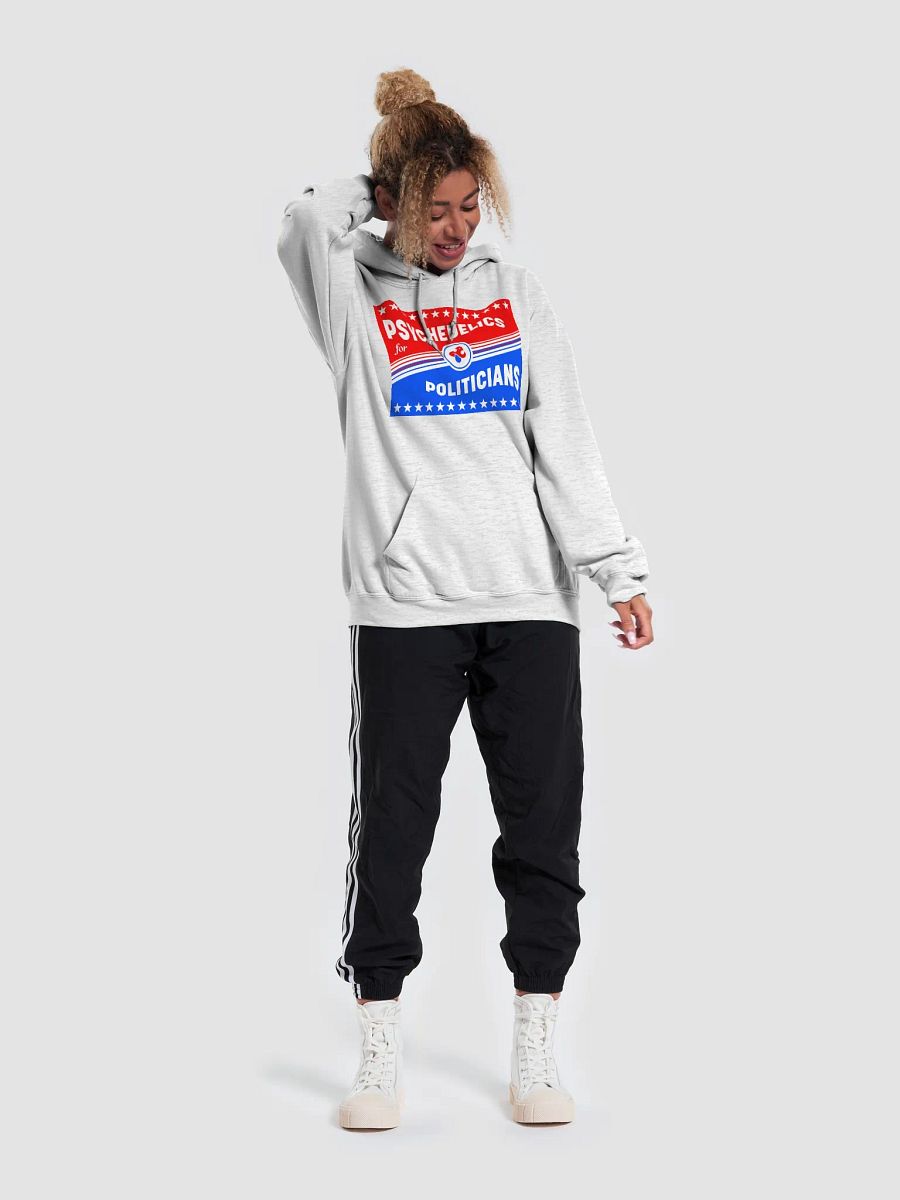 PSYCHEDELICS FOR POLITICIANS - Hoodie product image (17)
