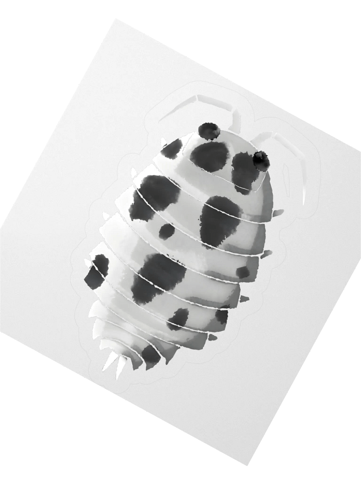 Dairycow Isopod Sticker product image (2)