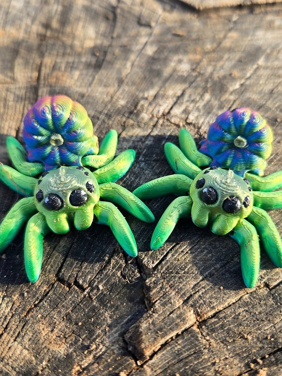 Adopt a Spider! product image (11)