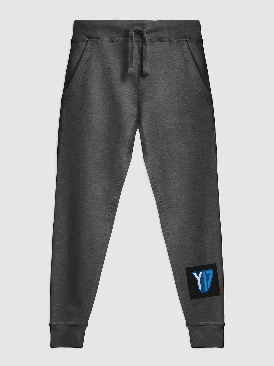 pants y17 product image (1)