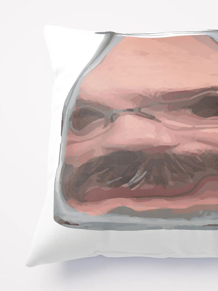 Scuffed Throw Pillow product image (2)