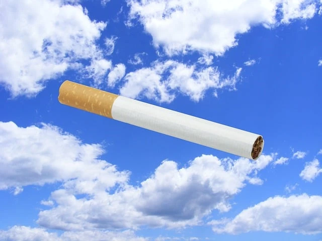 A picture of a tobacco cigarette.