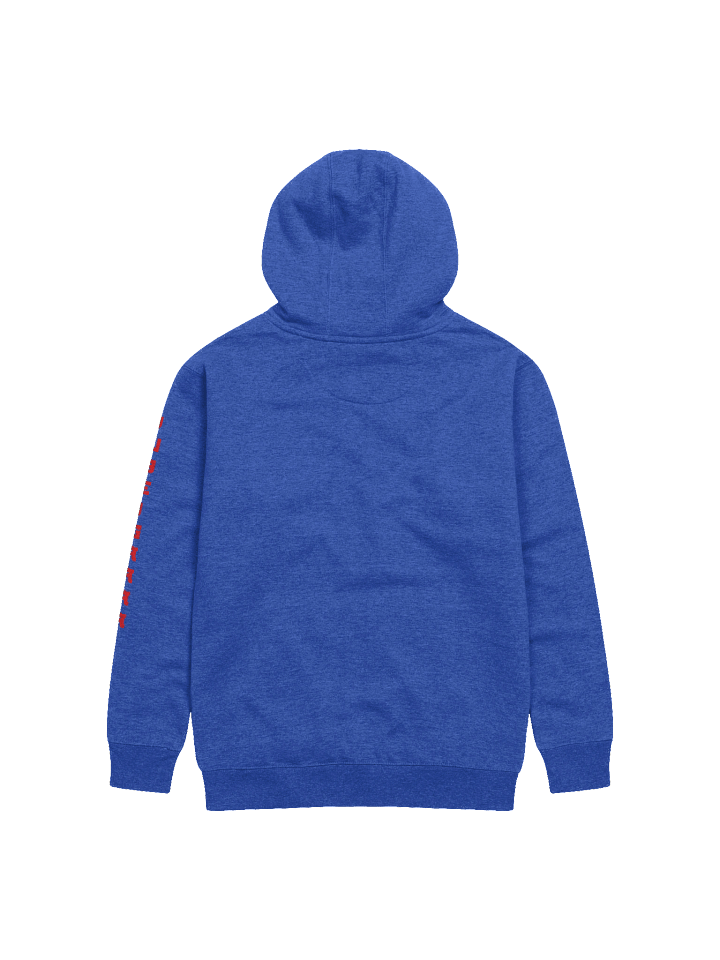 WCYD Hoodie (additional colors) product image (2)