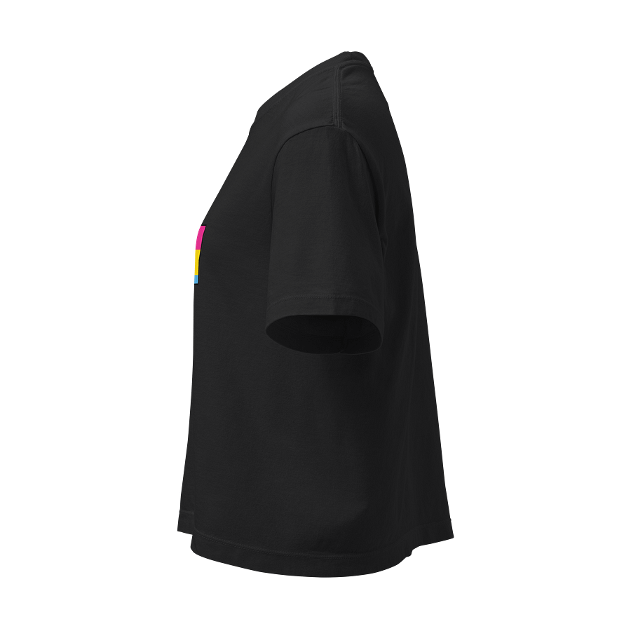 Faulted Pride Flags- Pan Shirt product image (3)
