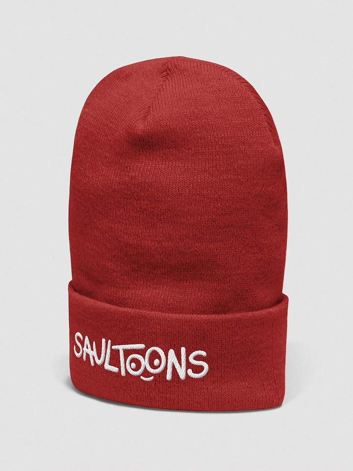 Saultoons Embroidered Beanie product image (10)