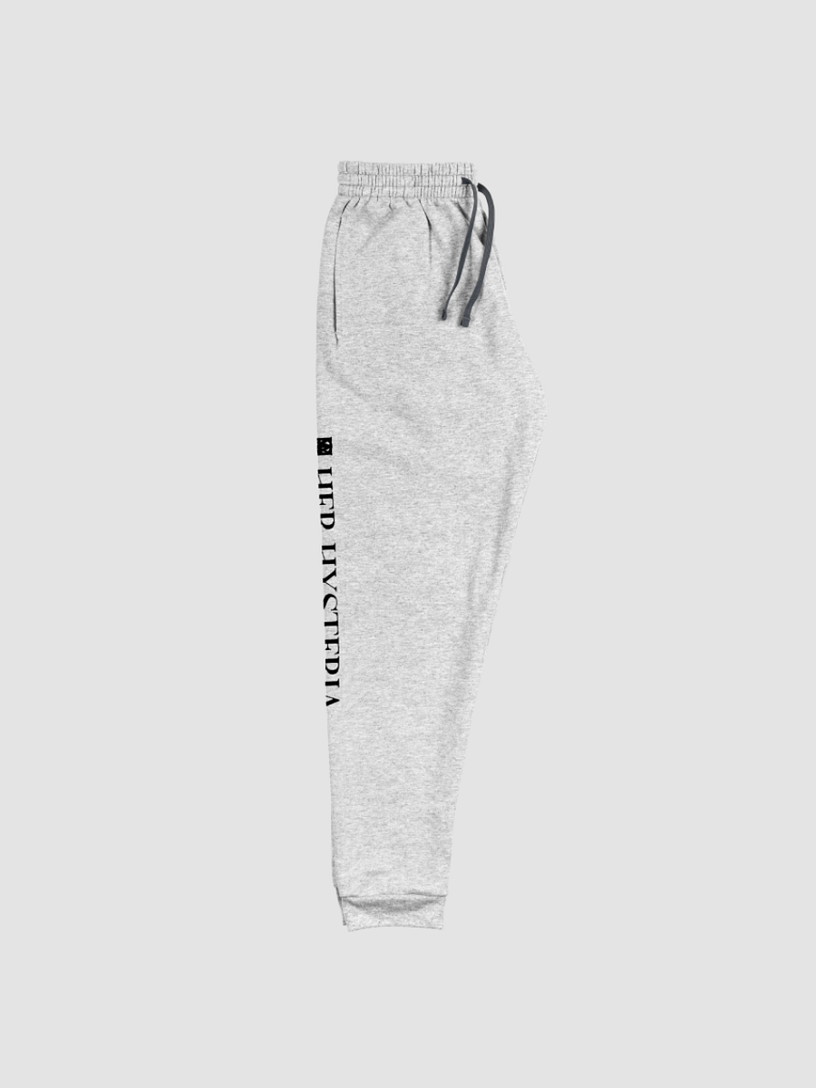 Light Grey Sigil Joggers product image (4)