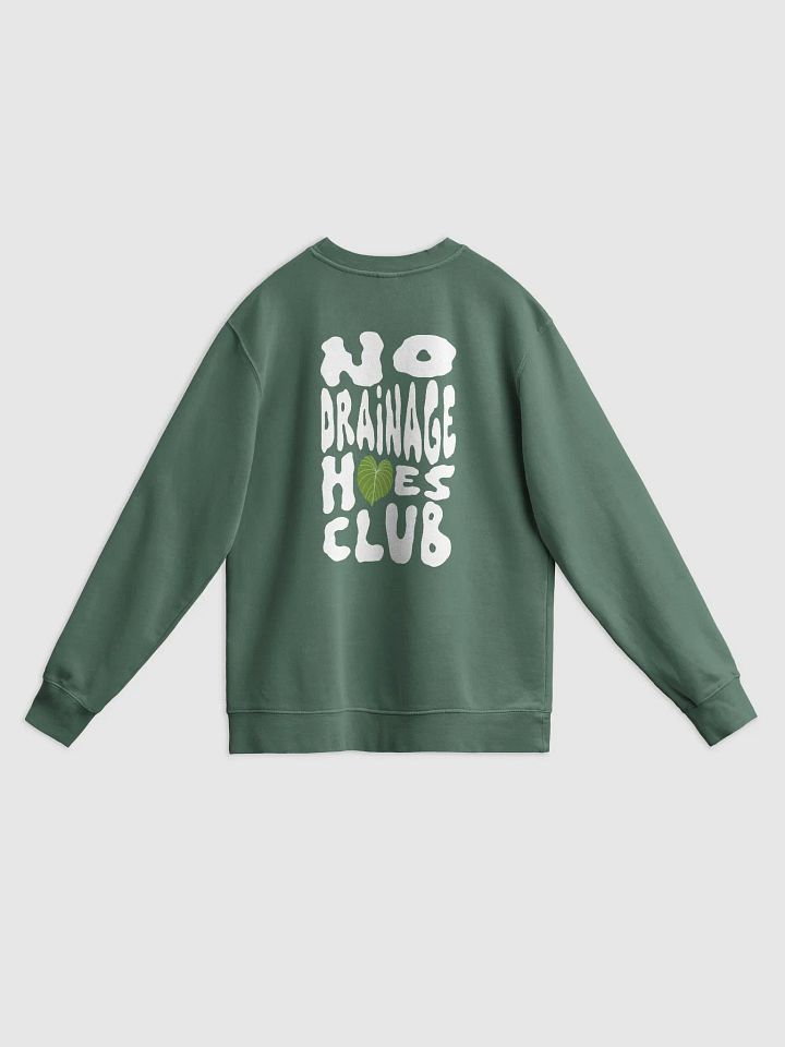 No Drainage Hoes Unisex Midweight Pigment Dyed Crewneck (multiple colours) product image (2)