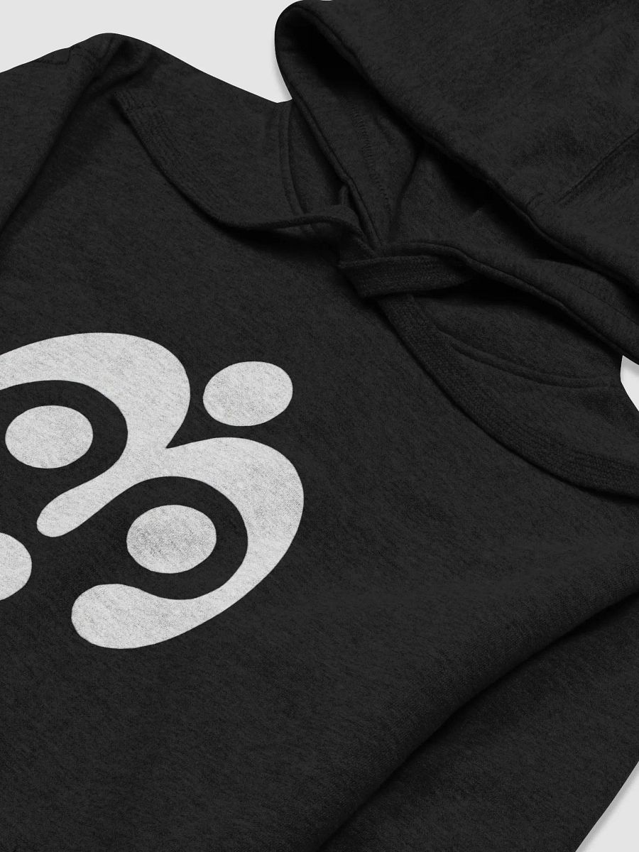 Logo Hoodie (Black) product image (3)