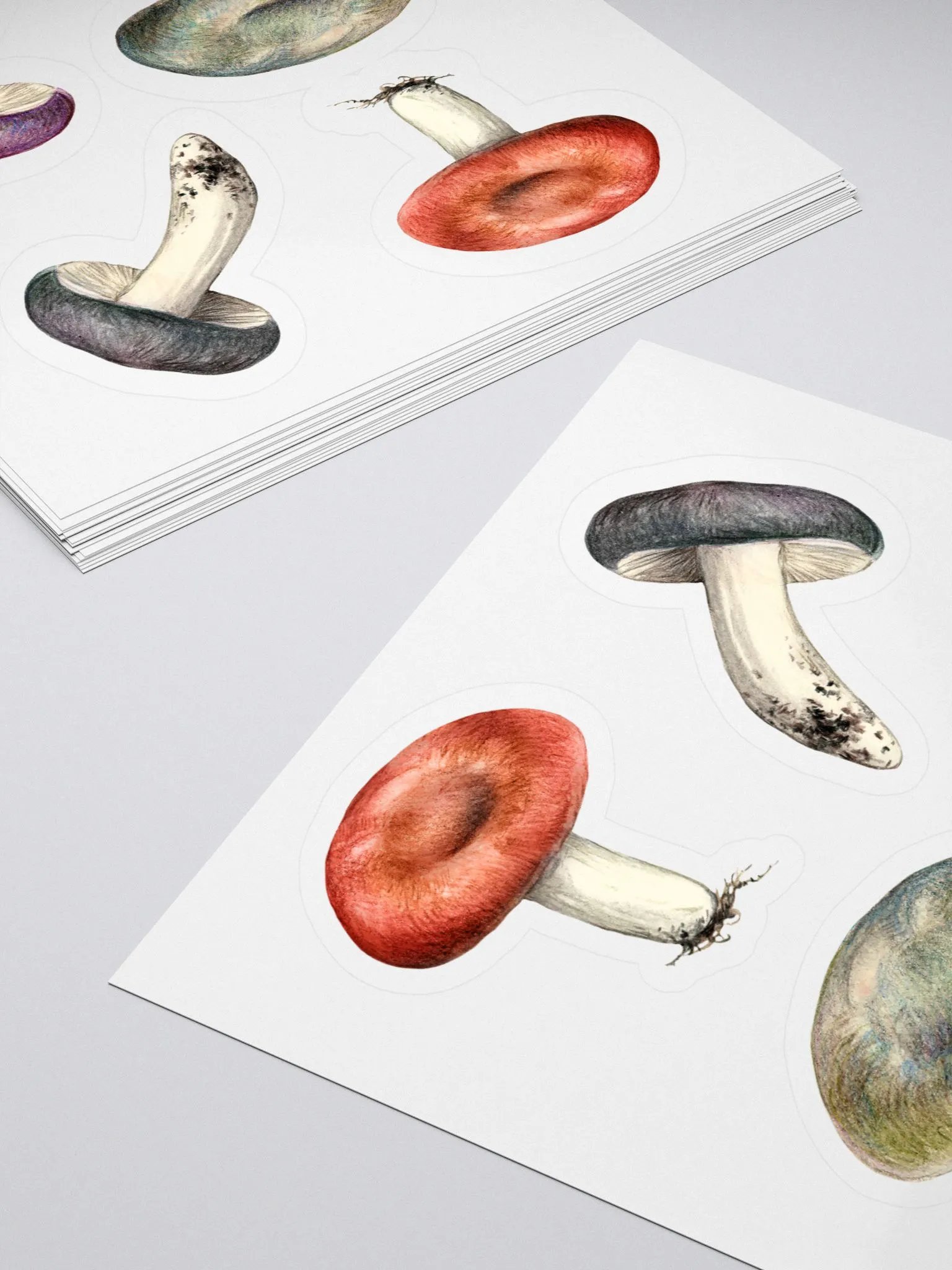 Russula mushrooms sticker product image (4)