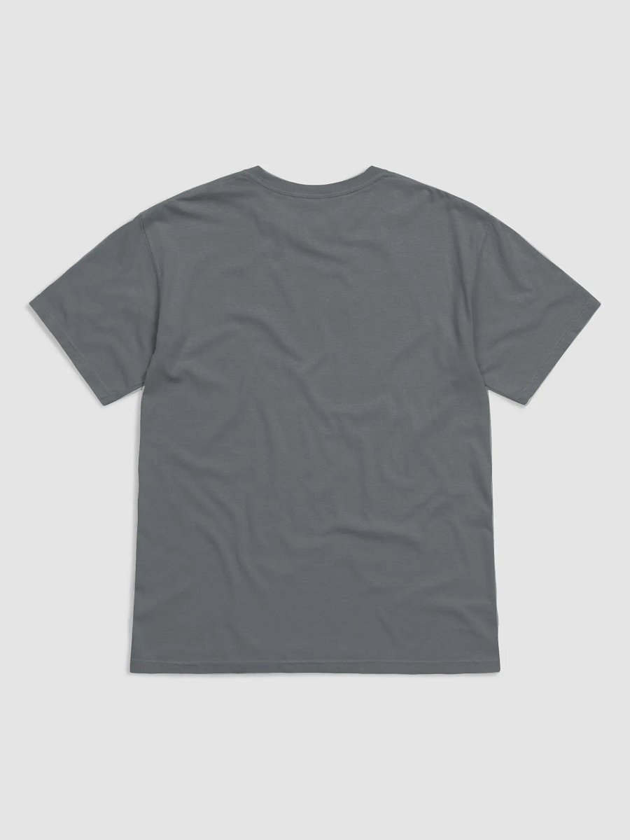 Haitian 365 Premium Ring-Spun Cotton T-Shirt product image (2)