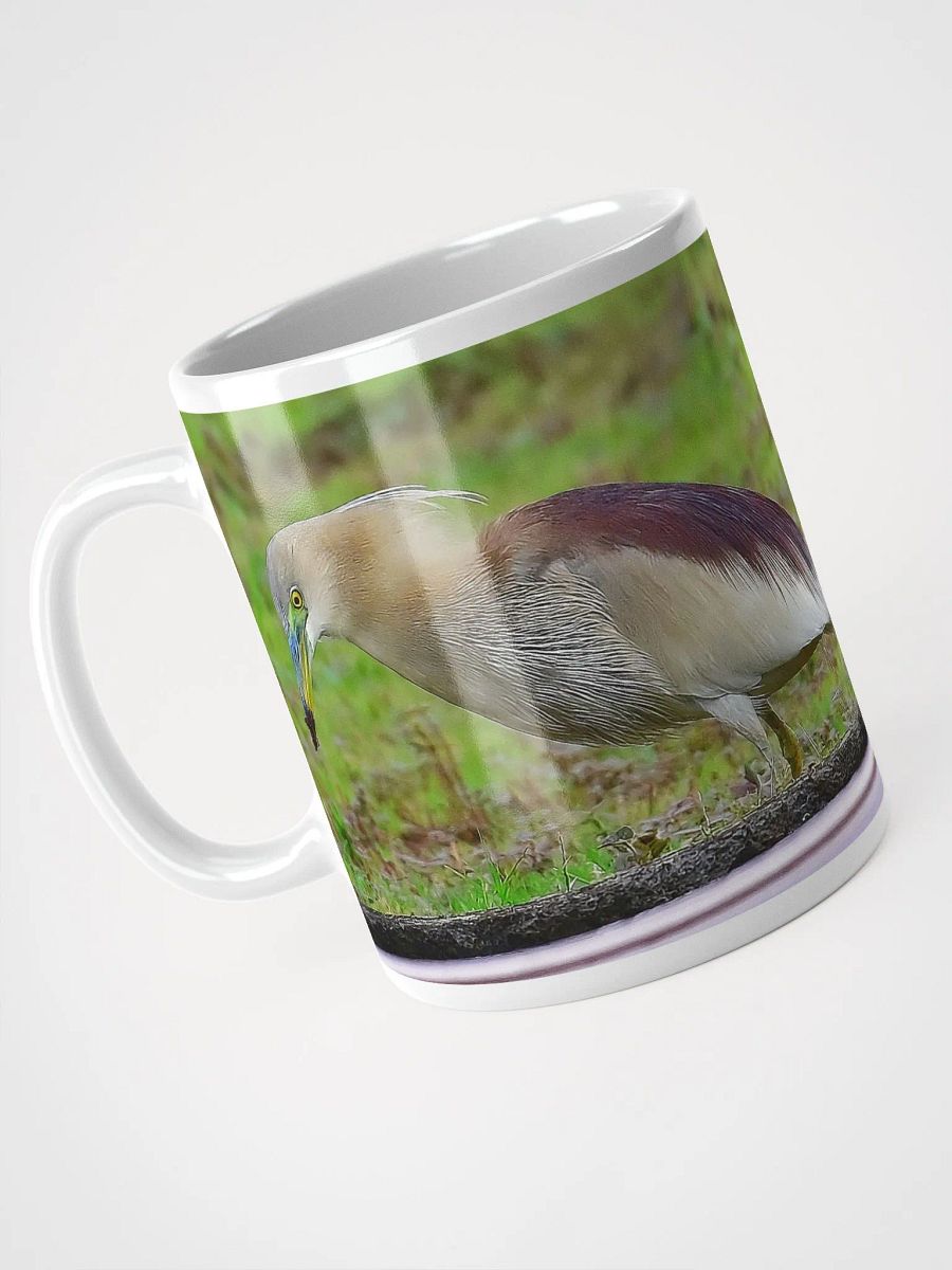 IUCAA Birds MUG product image (3)