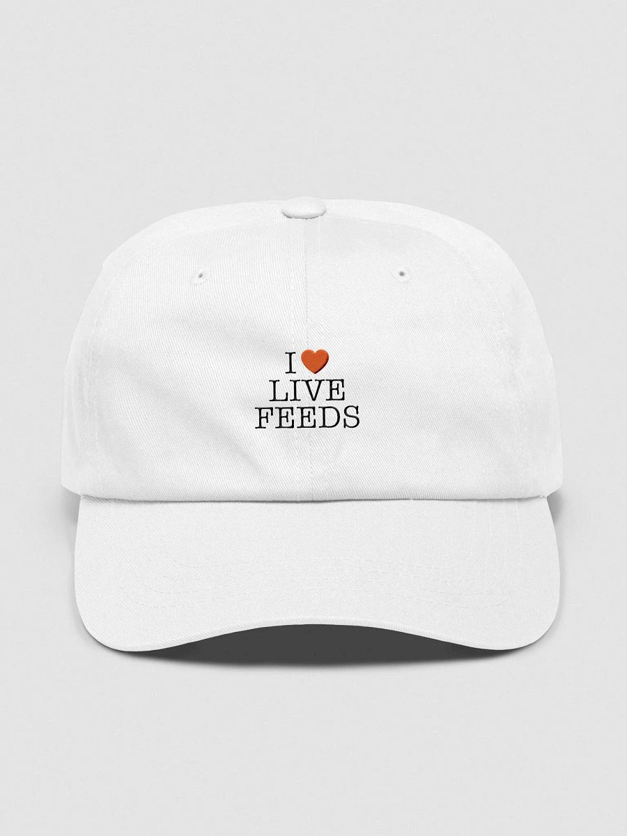 I <3 Live Feeds Dad Hat product image (1)