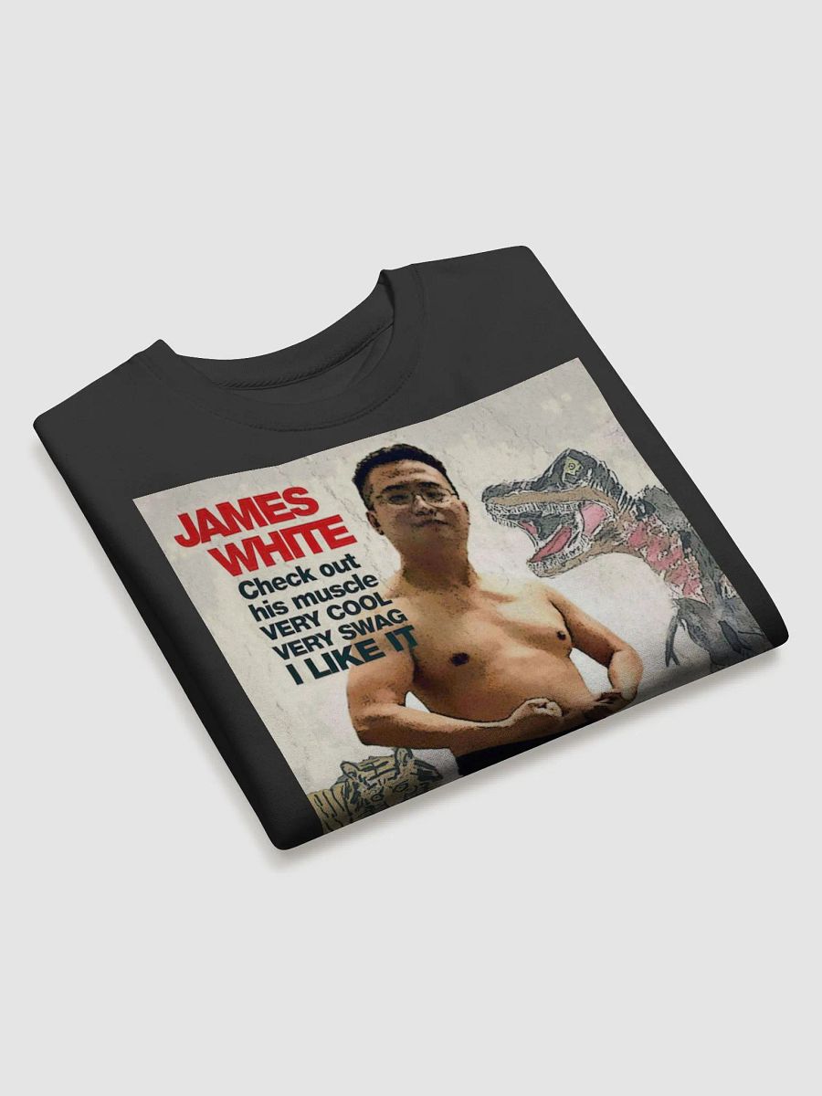 Cotton Heritage Premium Sweatshirt: swag warrior product image (29)
