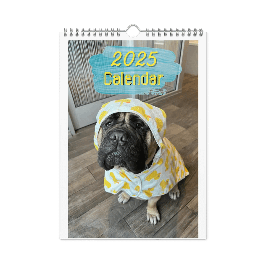Meech 2025 Wall Calendar product image (1)