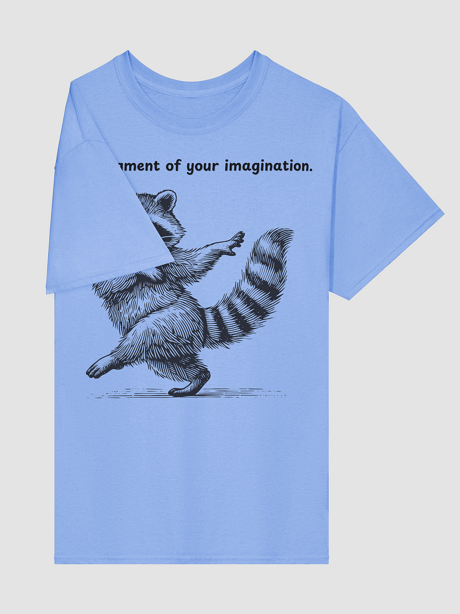Raccoon Dance Party T-Shirt product image (19)