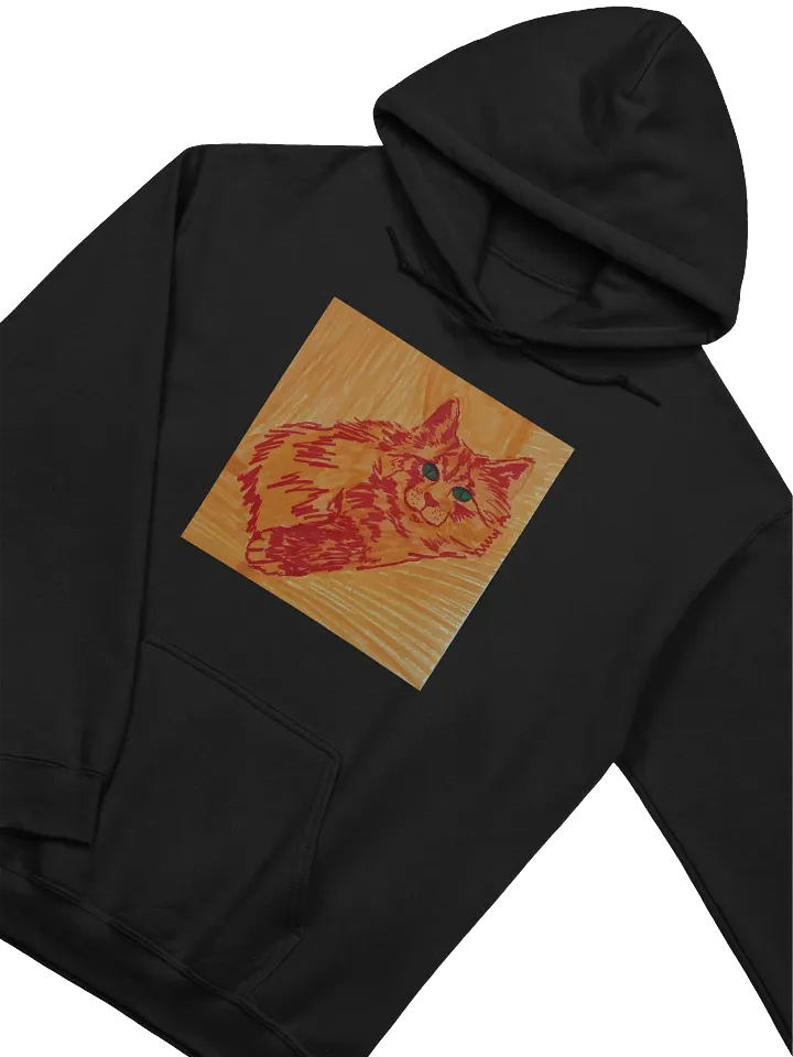 Saffron Cats Hoodie product image (2)