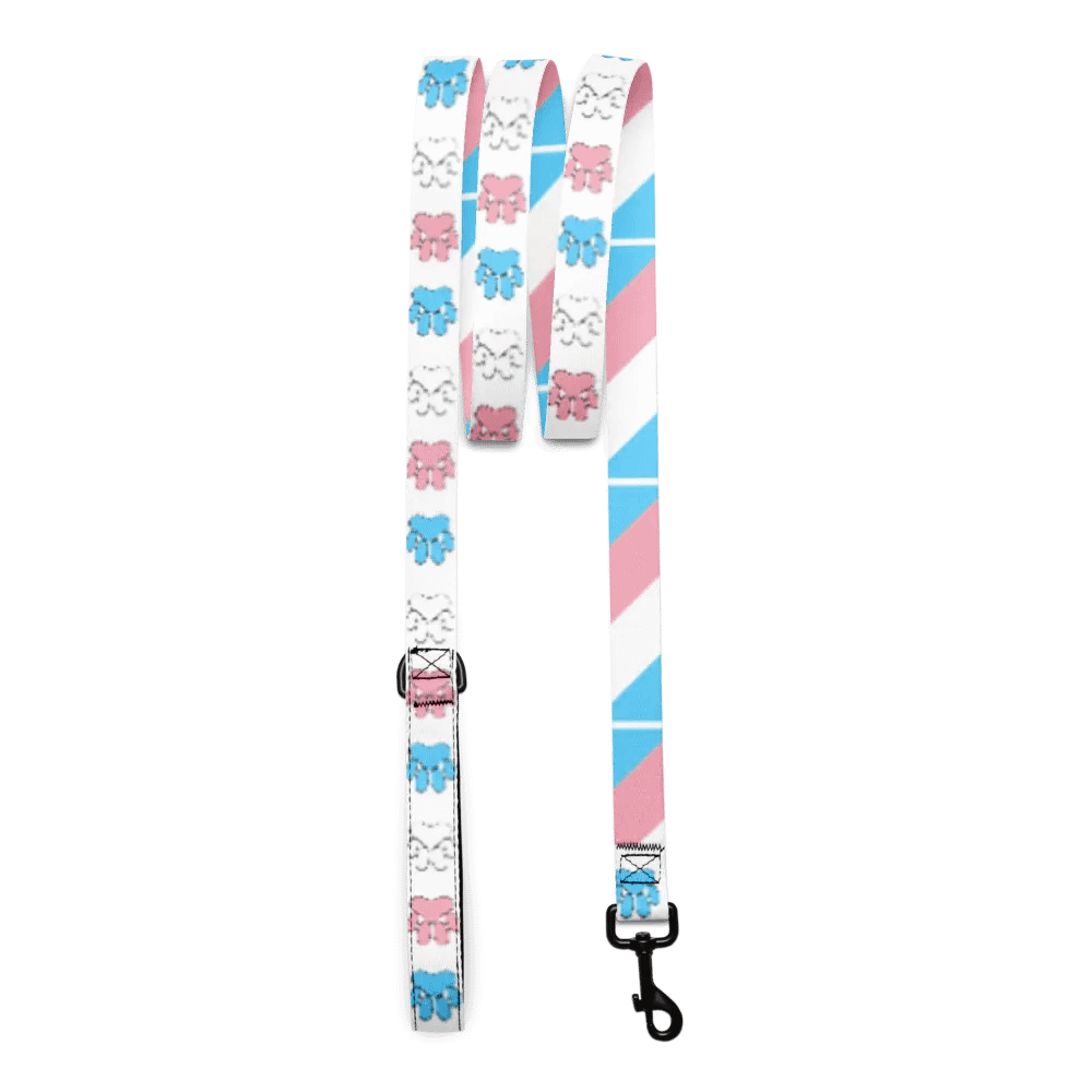 Trans Pride Leash product image (3)