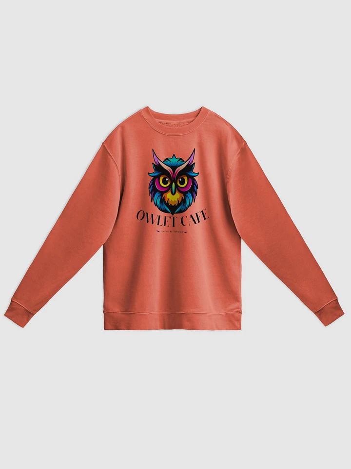 Vibrant Owlet Cafe - Unisex Pigmented Sweater product image (5)