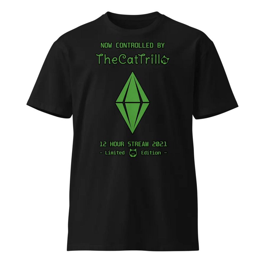 4 years on Twitch, shirt! product image (1)