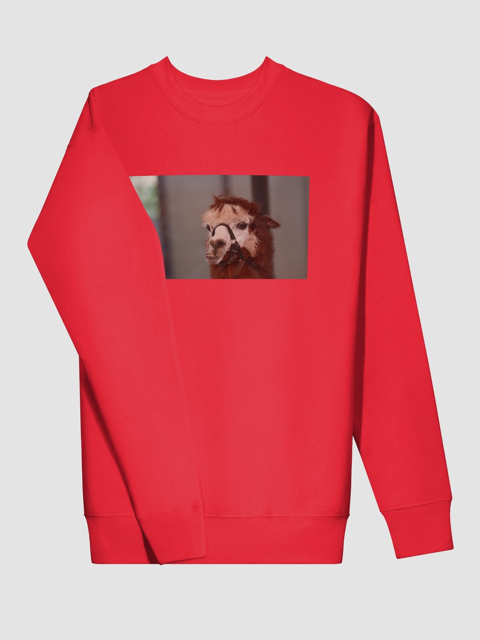 Halter-Clad Llama Cotton Sweatshirt product image (3)