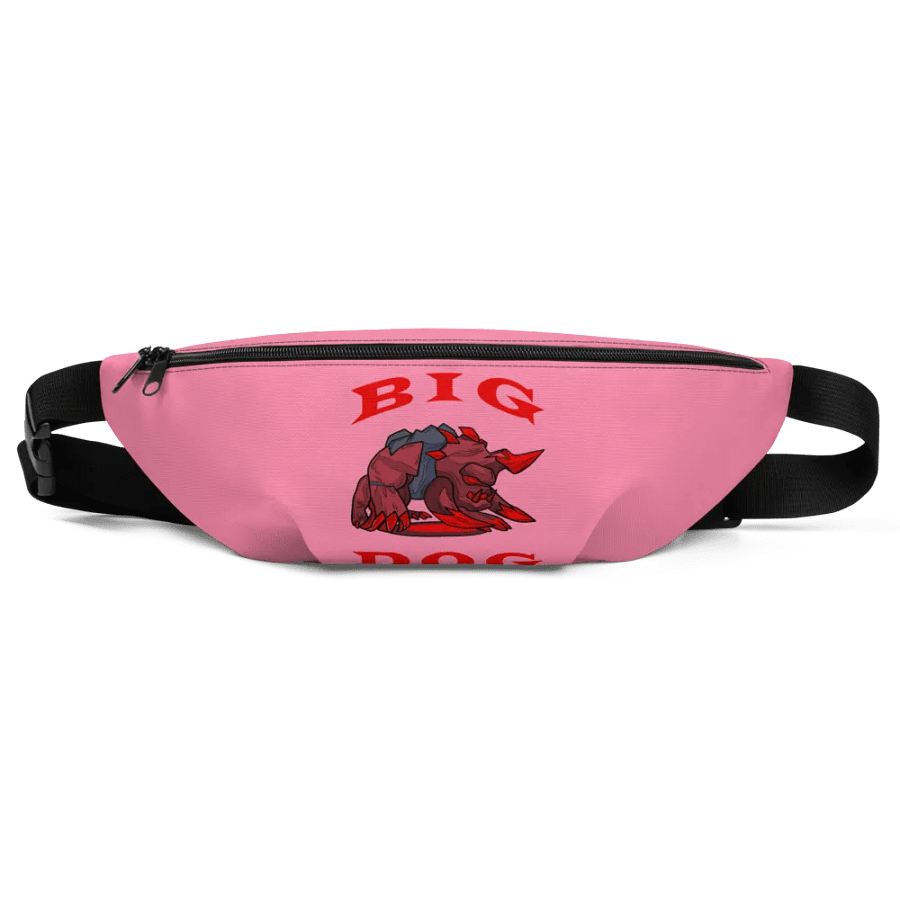 BIG DOG FANNY PACK product image (1)