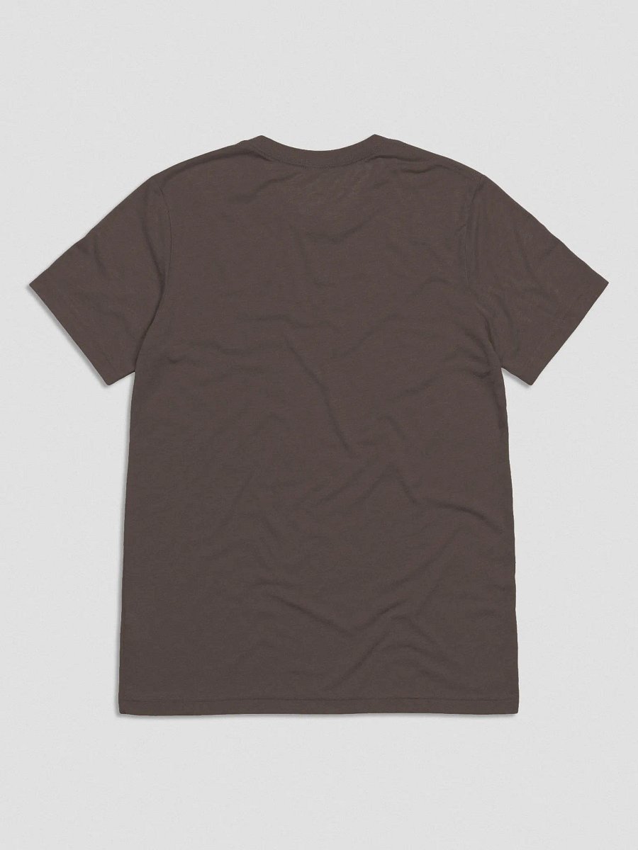 Rank Doesn't Matter (Triblend Shirt) product image (20)