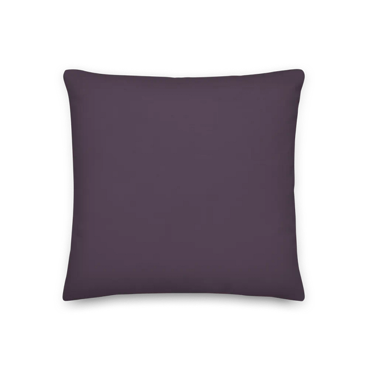 Funny Mom Pillow – “Thou Shalt Runneth On Cold Coffee & Leftovers” product image (3)