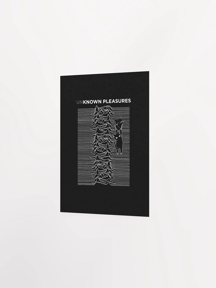 KITTEN'S UNKNOWN PLEASURES product image (16)