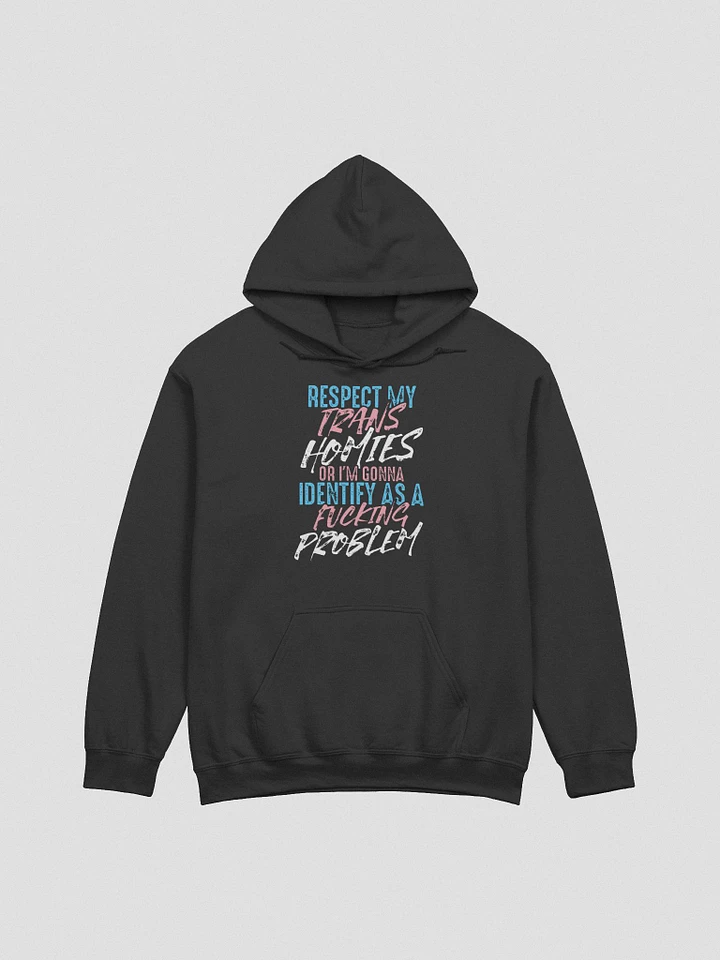 RESPECT TRANS HOMIES HOODIE product image (1)