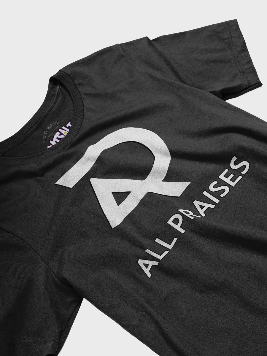Flavorful DATSALT Graphic Tee product image (3)
