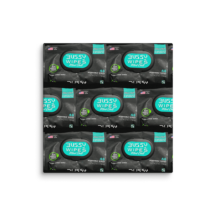 Bussy Wipes | Canvas Print product image (1)