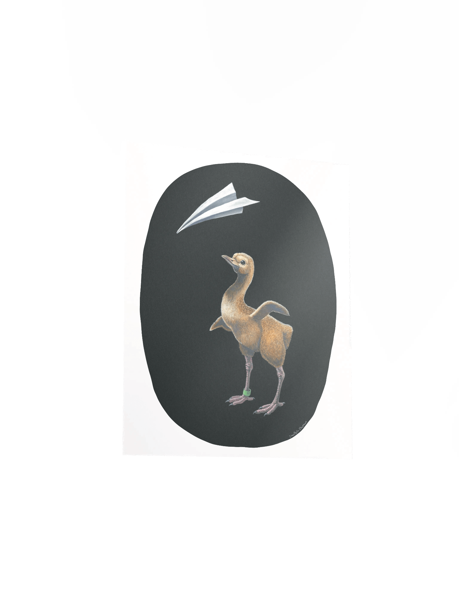 Assisted Migration (Whooping Crane) - Art Print product image (4)