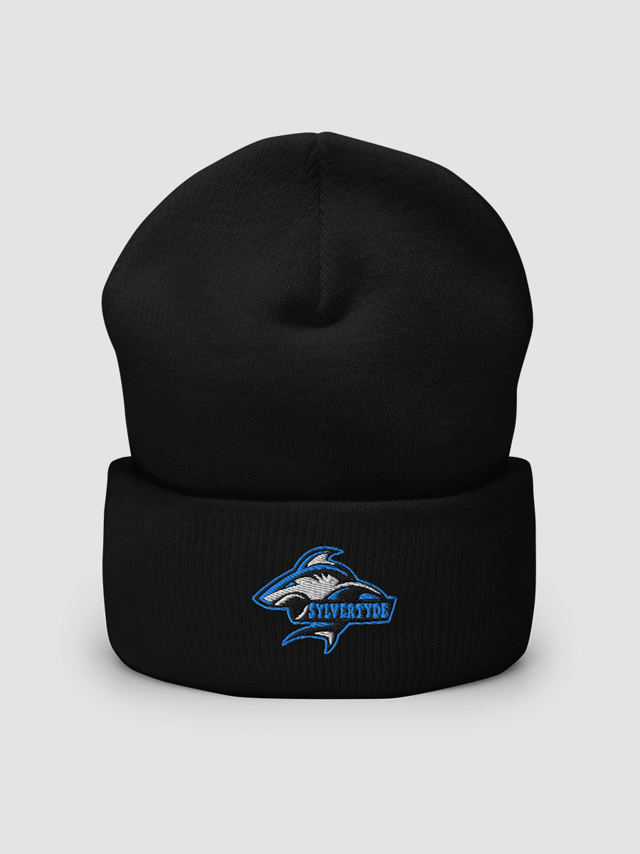 Sylver's Cuffed Beanie product image (2)