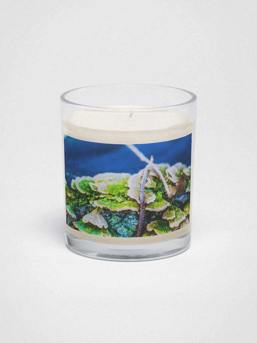 Vibrant Soy Candle product image (1)
