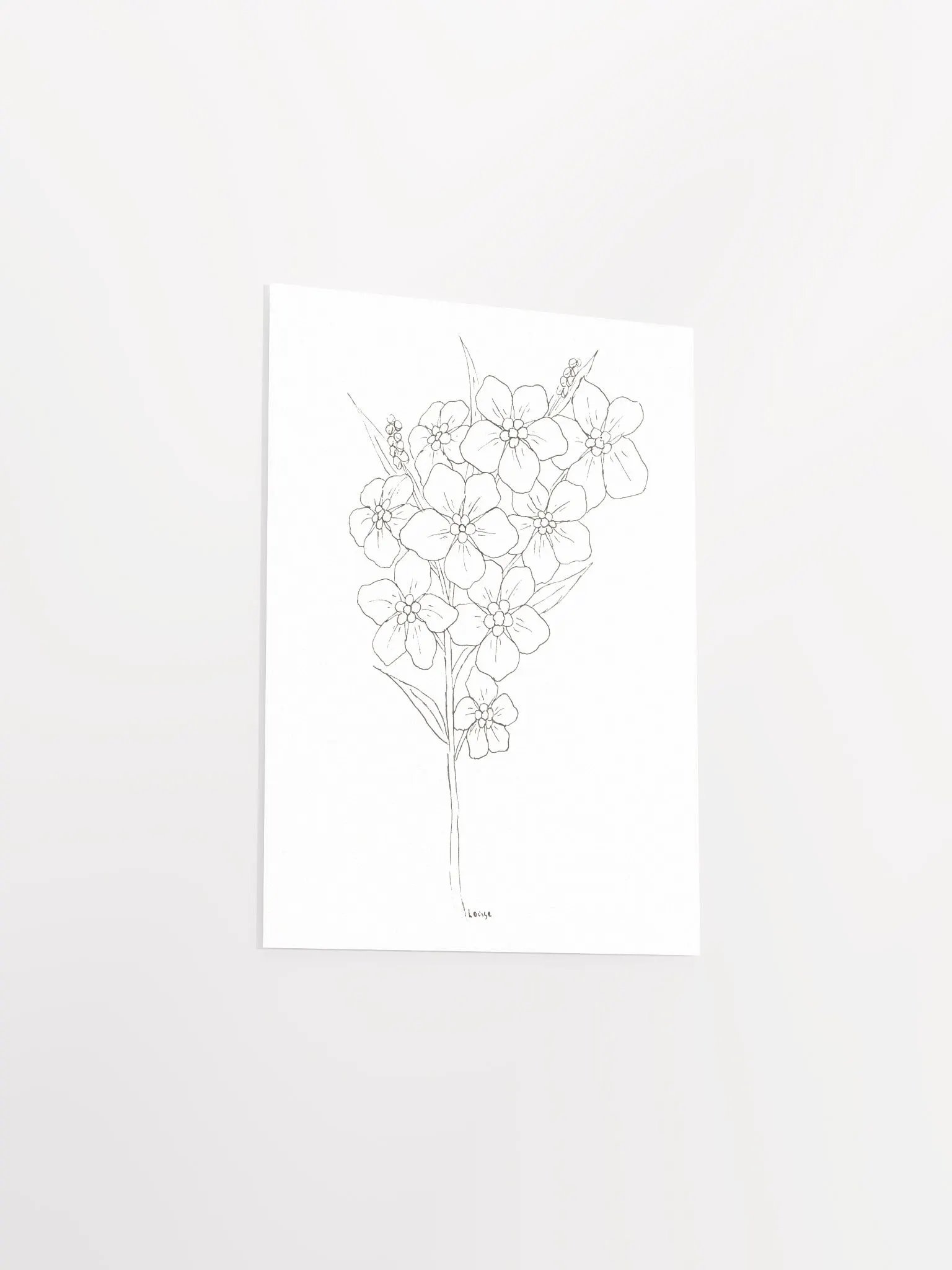 Forget-Me-Not Line Art Poster product image (3)